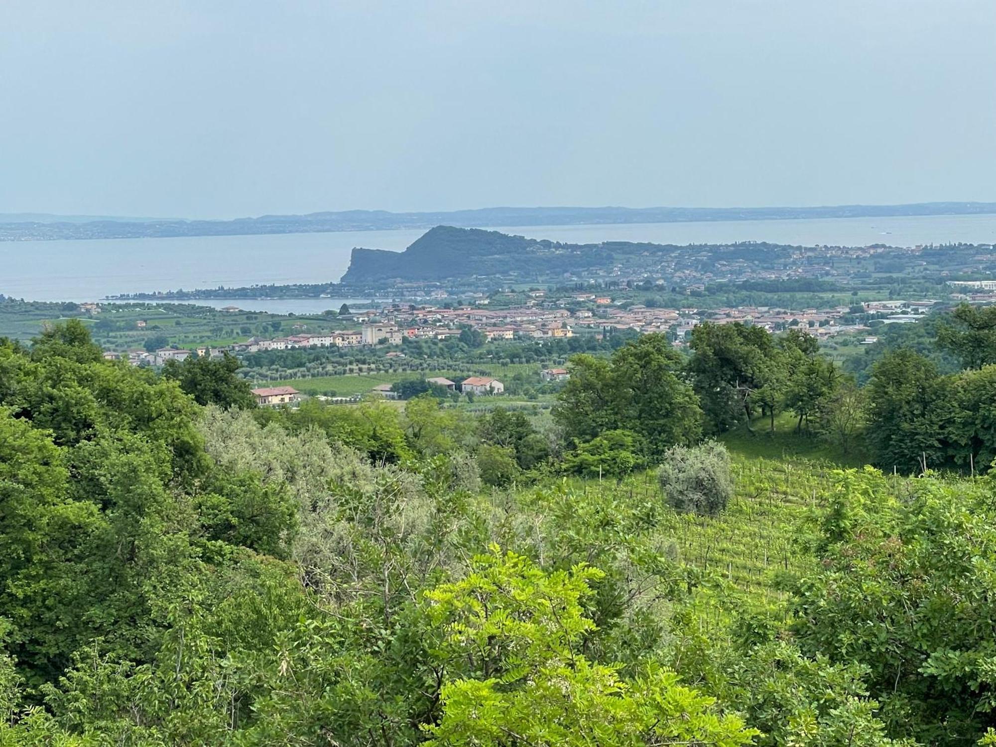 Villa Maria Apartments Moniga del Garda Exteriör bild